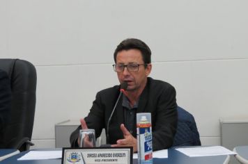 Foto - Sessão ordinária do dia 17 de maio de 2022